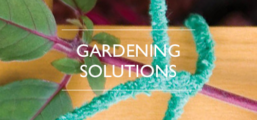 Pipe Cleaners & Flexi-Stems for Gardening