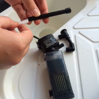 Cleaning a Fish Tank Filter with a Flexi-stem Aquarium