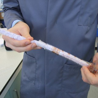 Laboratory Flexistem Pipecleaners