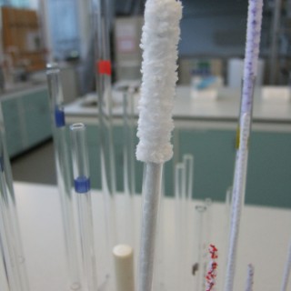 Laboratory Flexistem Pipecleaners