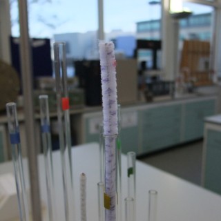 Laboratory Flexistem Pipecleaners