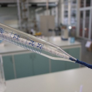 Laboratory Flexistem Pipecleaners