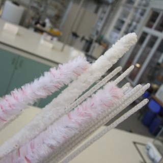 Laboratory Flexistem Pipecleaners