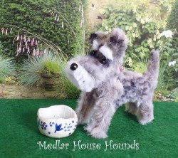 Medlar House Hounds 3